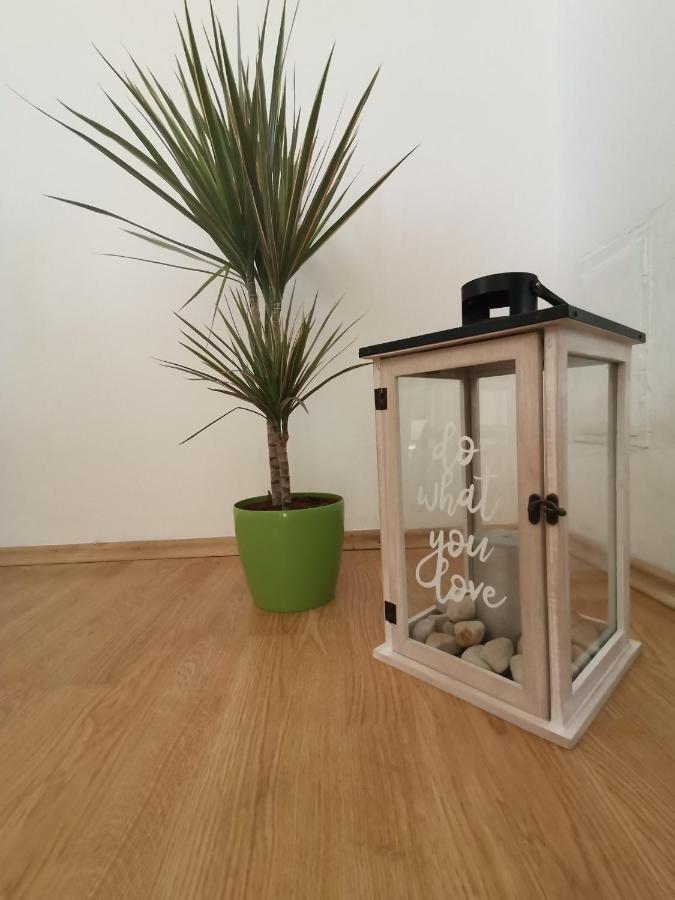 Apartment Lora ซริกเวนิซา ภายนอก รูปภาพ